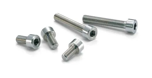 NBK chemical-resistant screws: group photo of the chemical-proof screw range
