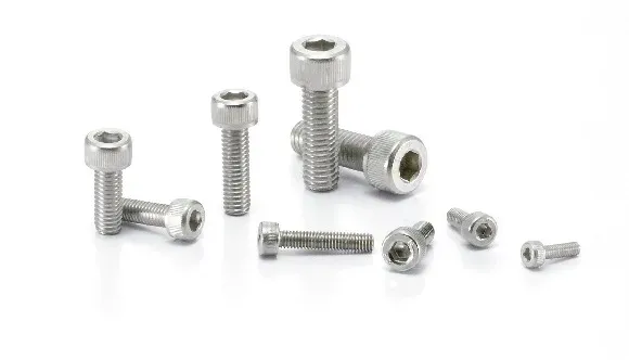 Stainless Steel 316L Hex Socket Head Cap Screws SNSL