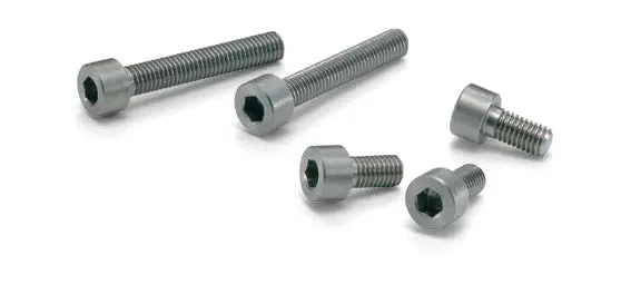 Molybdenum Hex Socket Head Cap Screws SNSM