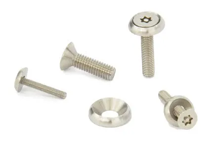 Stainless Steel Flat Head Bolts with Torx Socket and Pin SRFXS